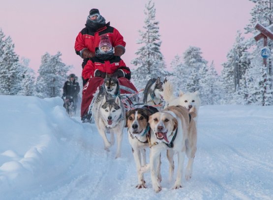 Lapland Winter Adventure